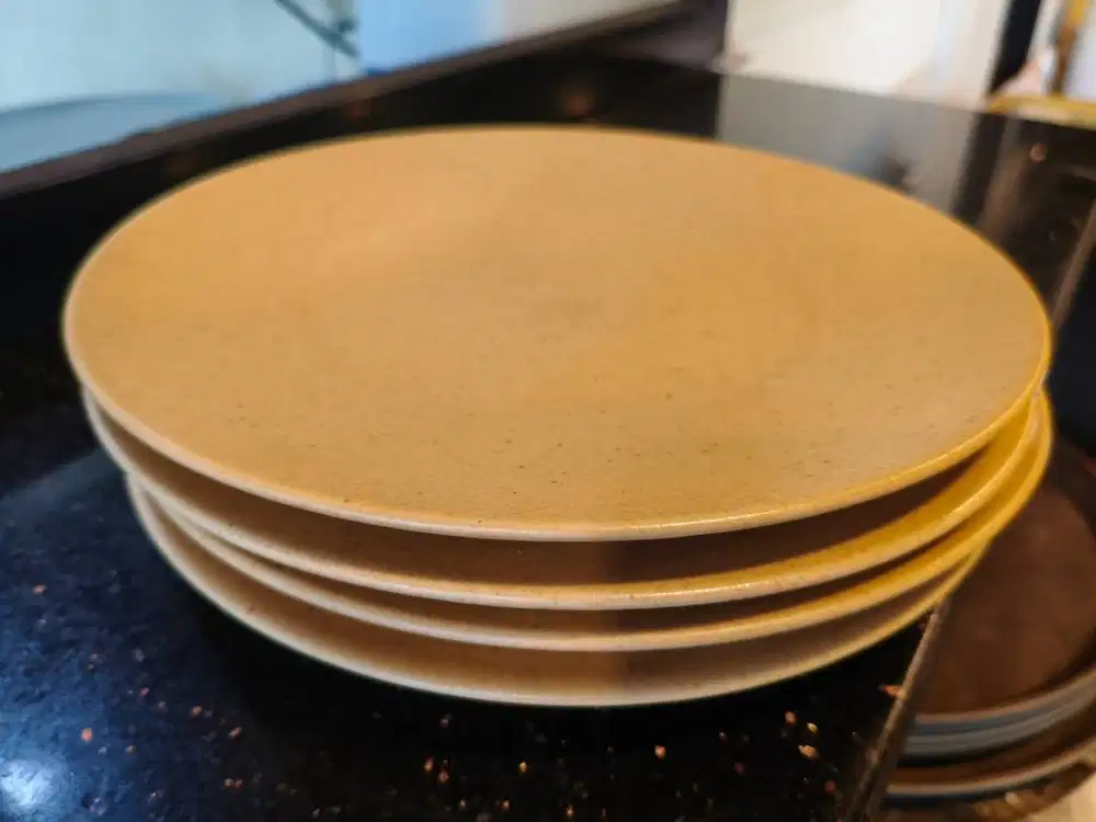 Dining Dinner Plate 10 / Piring Makan 10inch