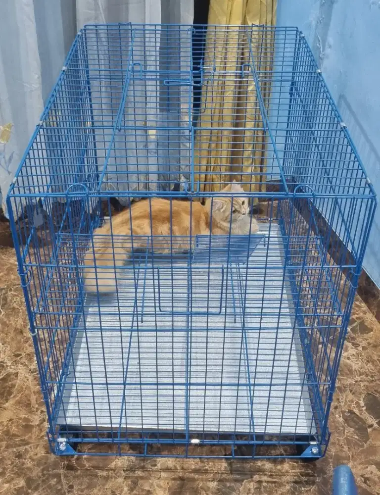 Kandang Kucing/Anjing Besi Besar