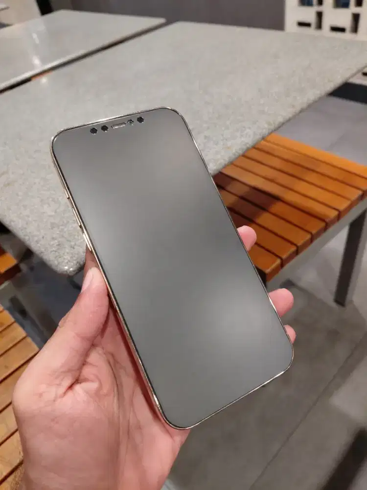 Iphone 12 promax 256 inter BEBAS RESET&KARTU ada minus bs tt