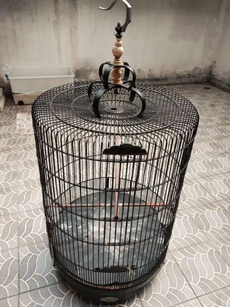 Kandang murai no. 1
