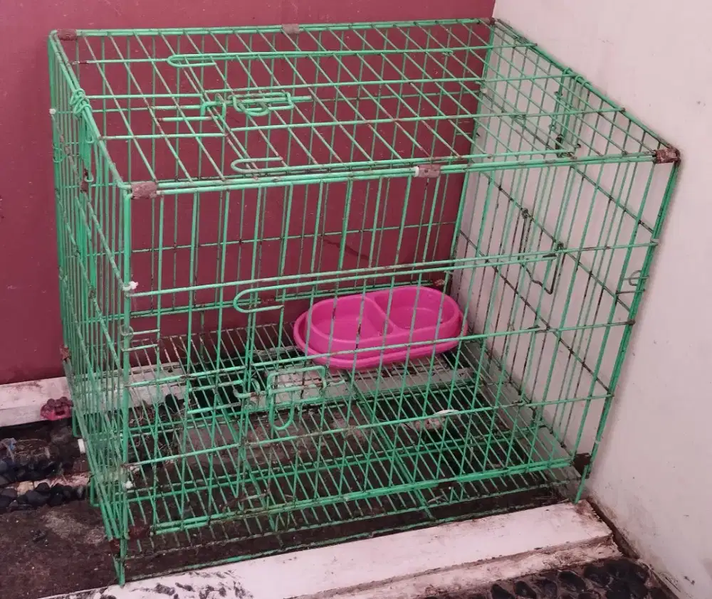Kandang kucing  60cm