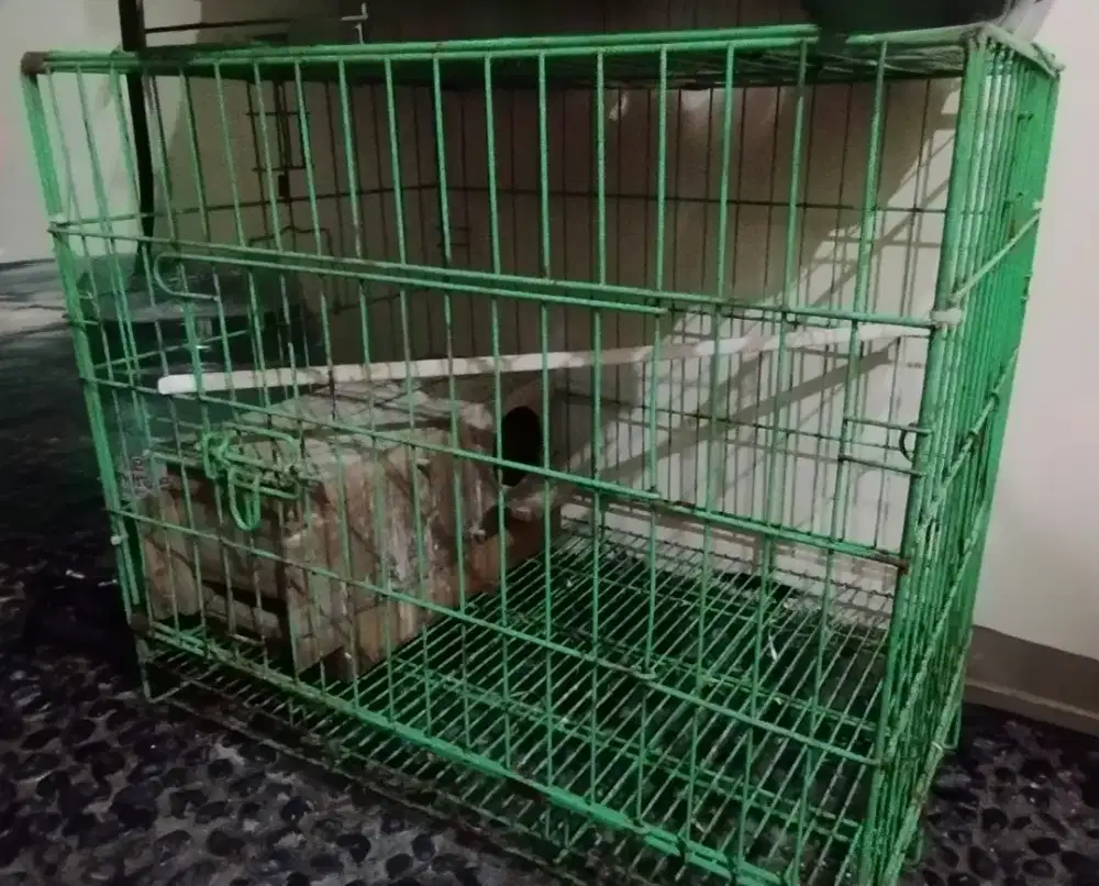 Kandang besi 60cm