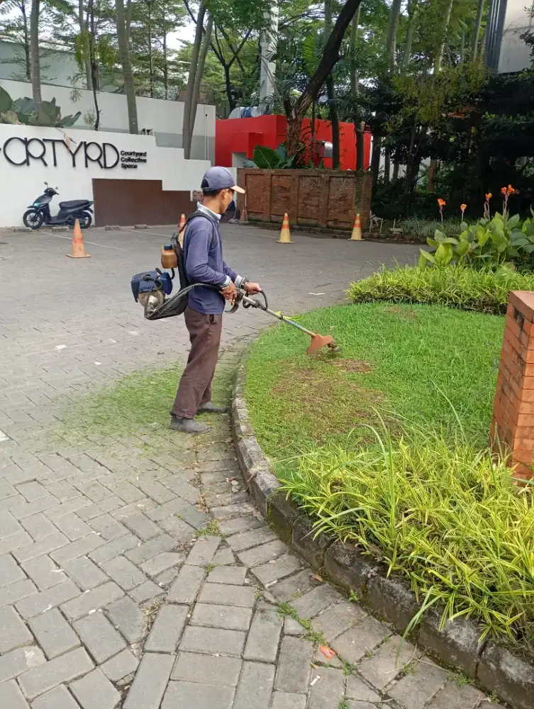 Jasa pangkas rumput
