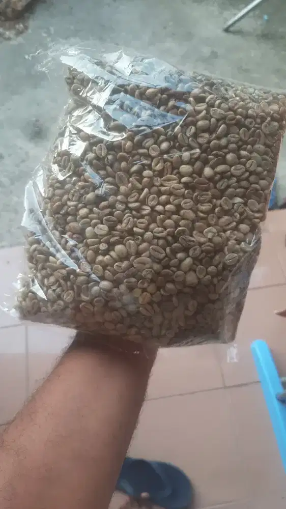 Kopi greenbean robusta fullwash