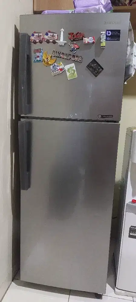 Samsung Kulkas 2 Pintu RT25M4133S8 - 255 Liter - Silver