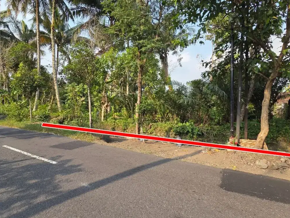 Tanah tepi Jalan di Bangunkerto Turi