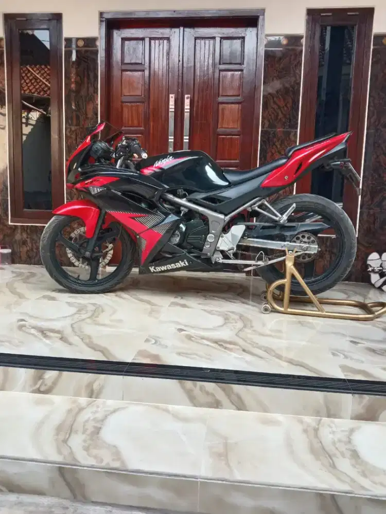 Ninja RR New 2014 orisinil