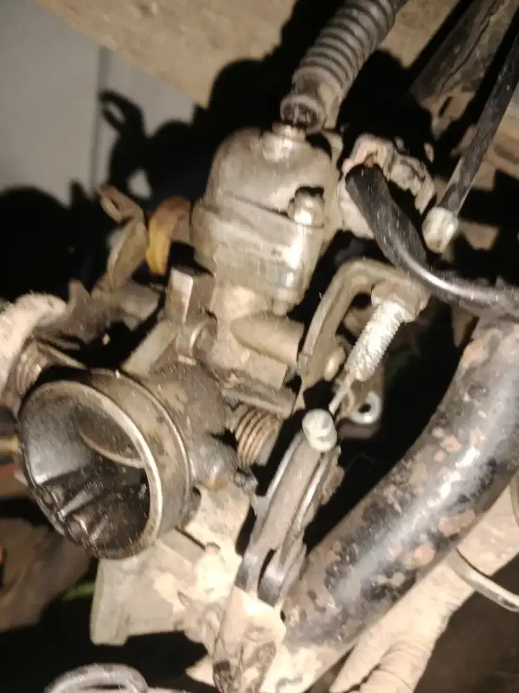 Karbu mx original cabutan