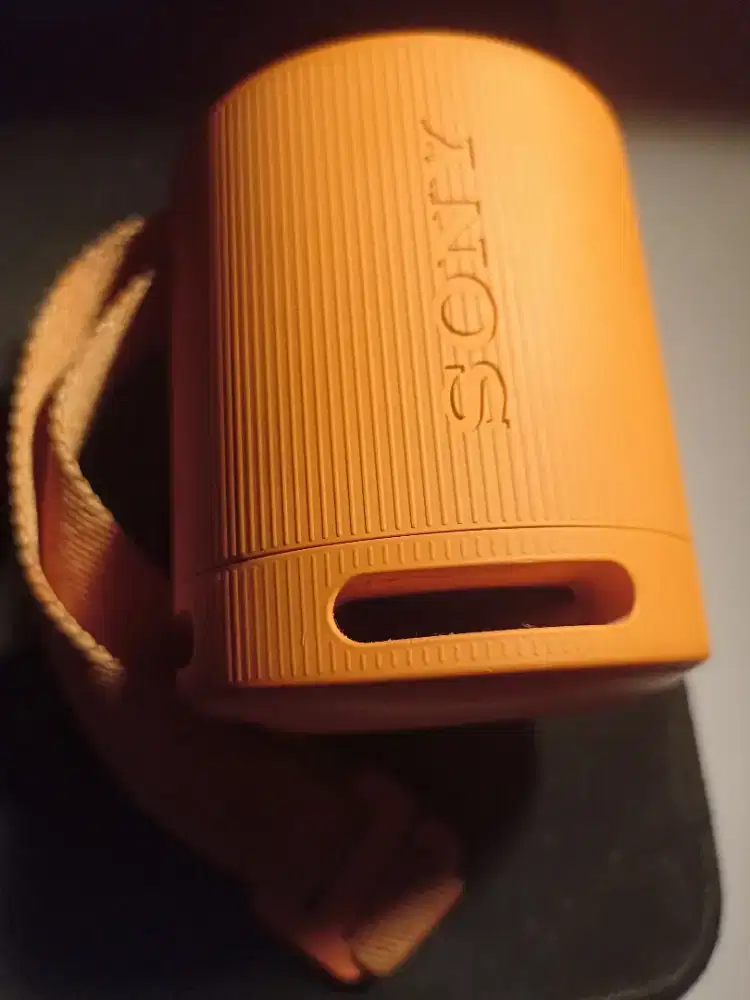 Speaker Bluetooth Sony SRS-XB-100