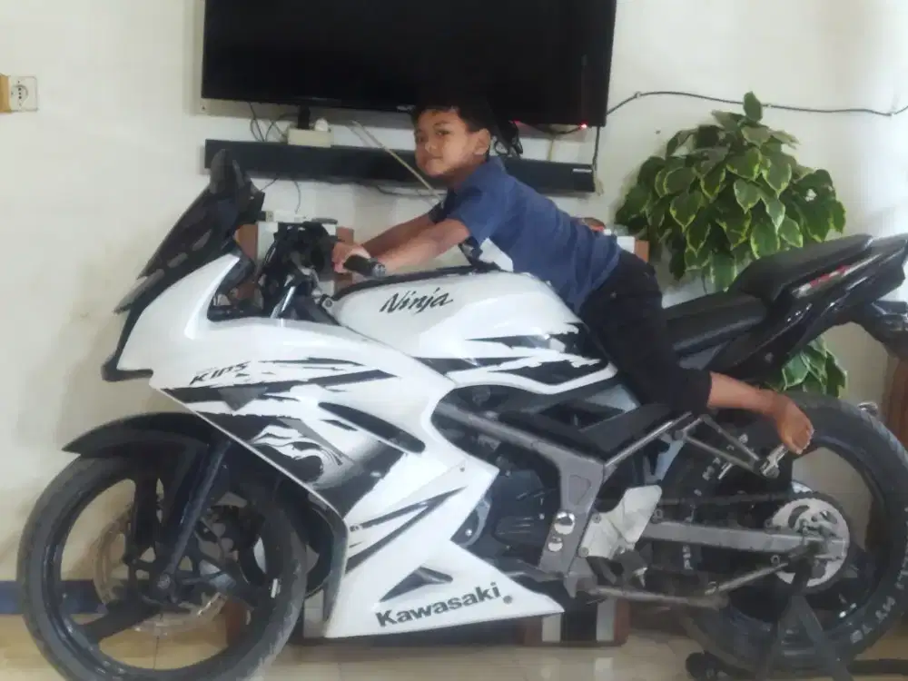 Ninja putih 2012