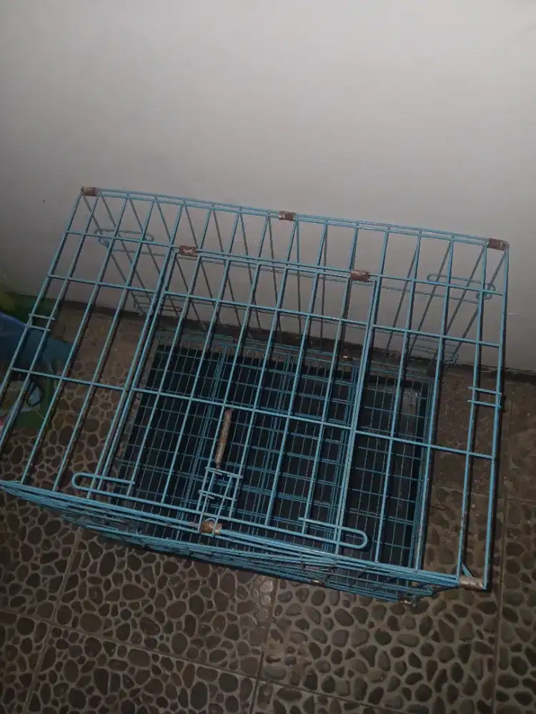 Kandang kucing 60x 40