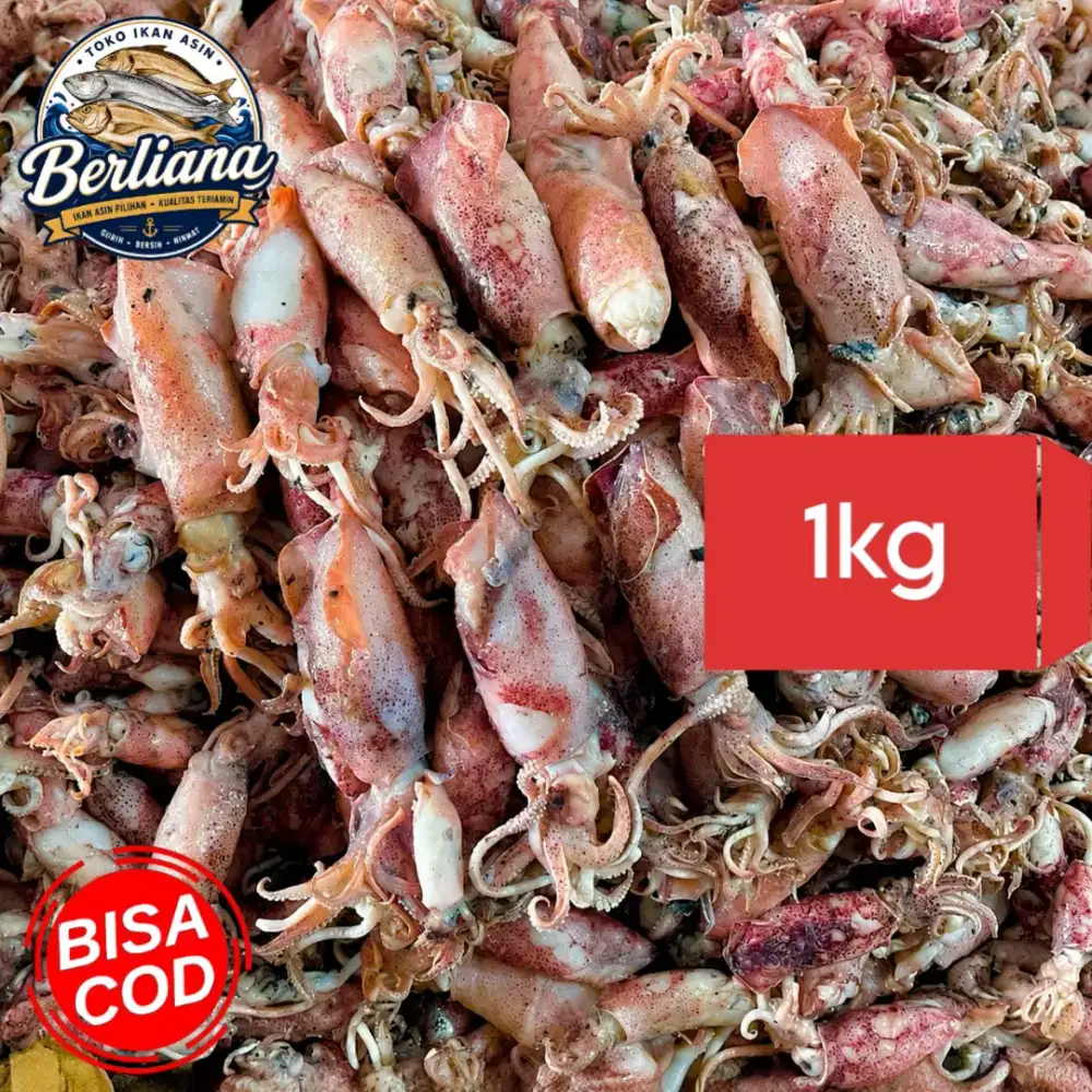 Cumi Asin Basah Baby Premium 1kg | Fresh Empuk Siap Masak Bisa COD
