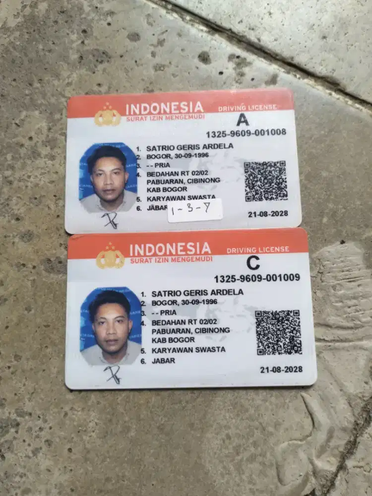 Mencari supir perdabdi