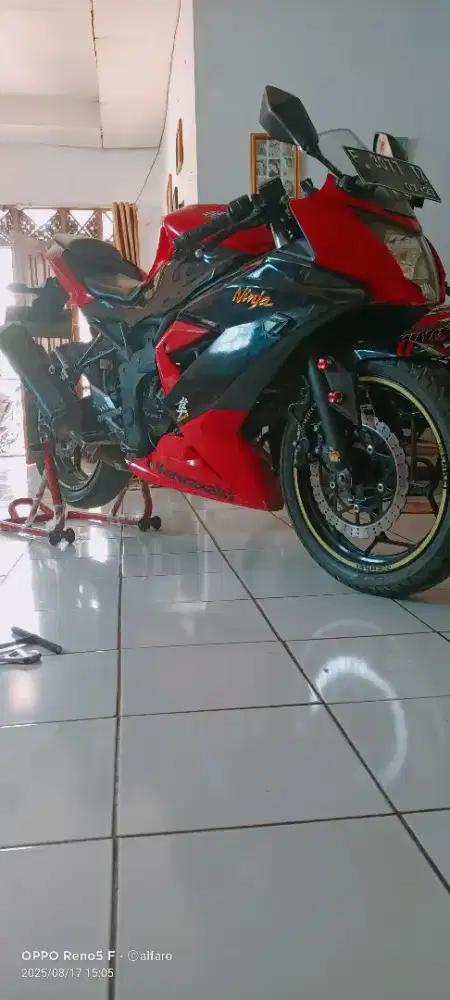Kawasaki ninja 250 sl