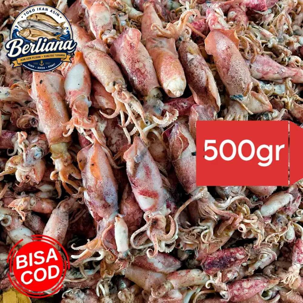 Cumi Asin Basah Baby Premium 500gr | Fresh Empuk Siap Masak Bisa COD