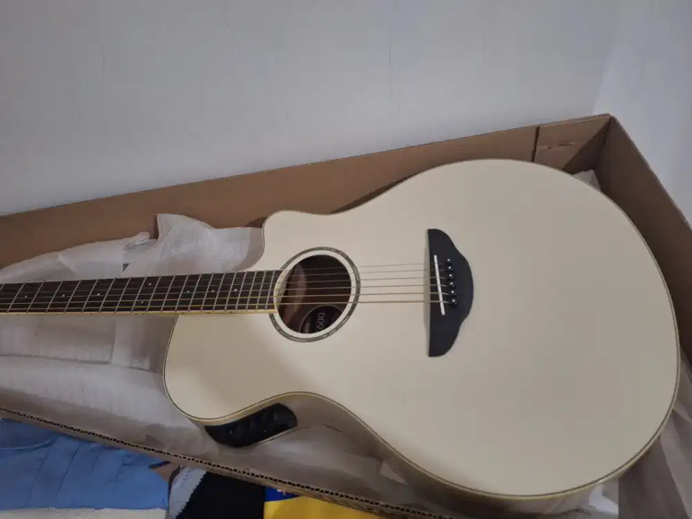 Gitar Akustik APX600 VW