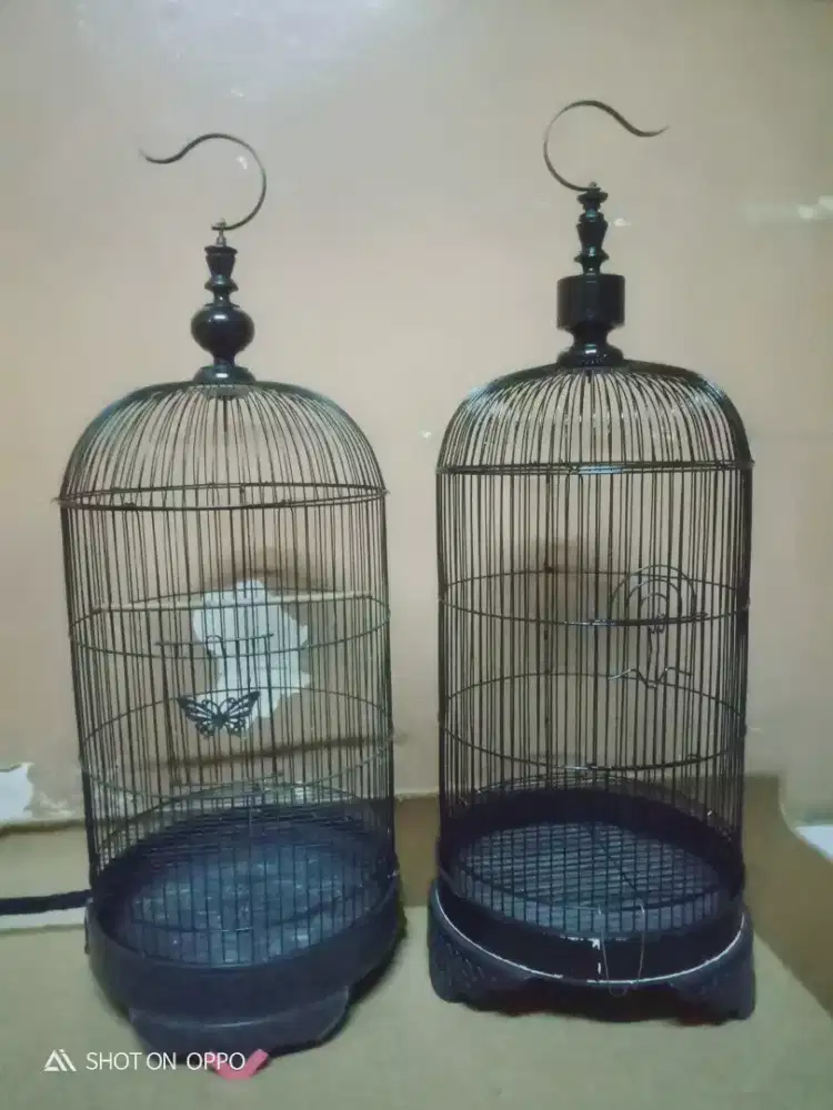 Kandang lovebird