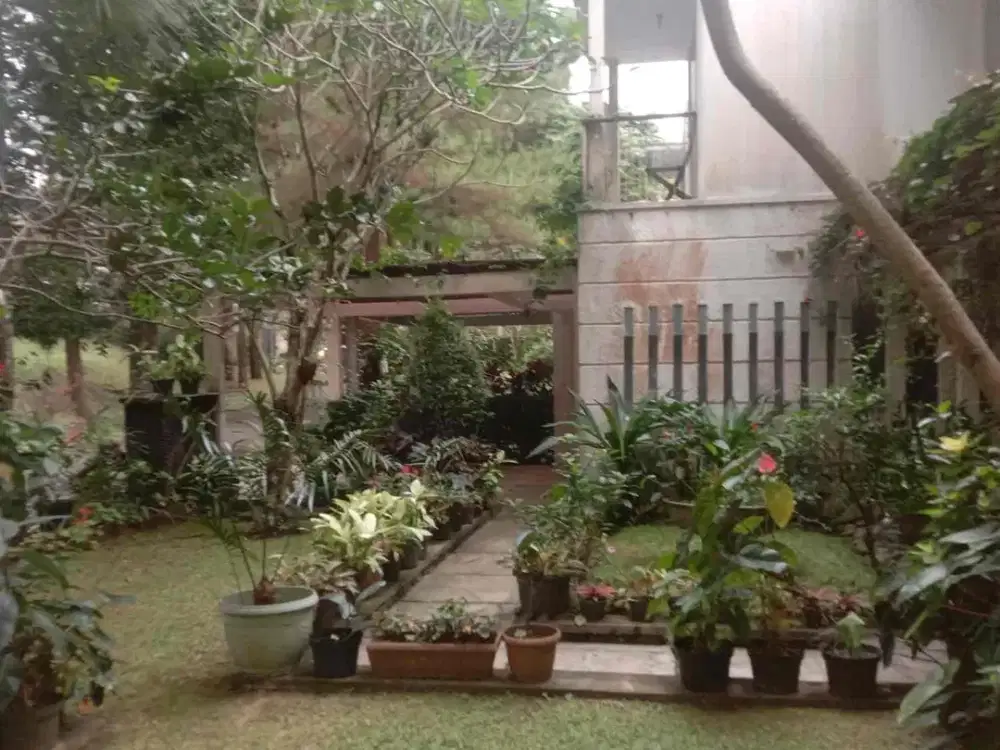 Jual Rumah Semi Furnished Tanah Luas Rancamaya Golf Estate
