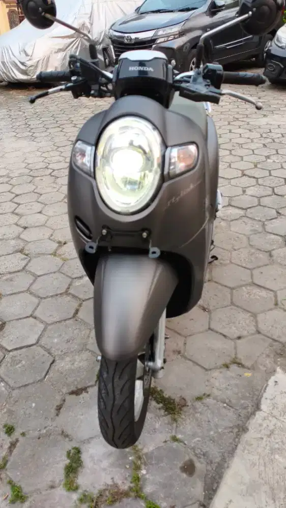 Honda Scoopy Stylish 2019