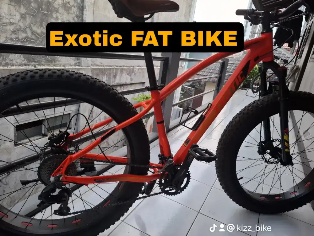 EXOTIC FAT BIKE