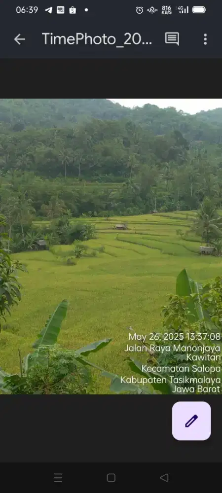 Dijual/ Dikaontrakan TANAH SAWAH PRODUKTIF di Manon Jaya Salopa