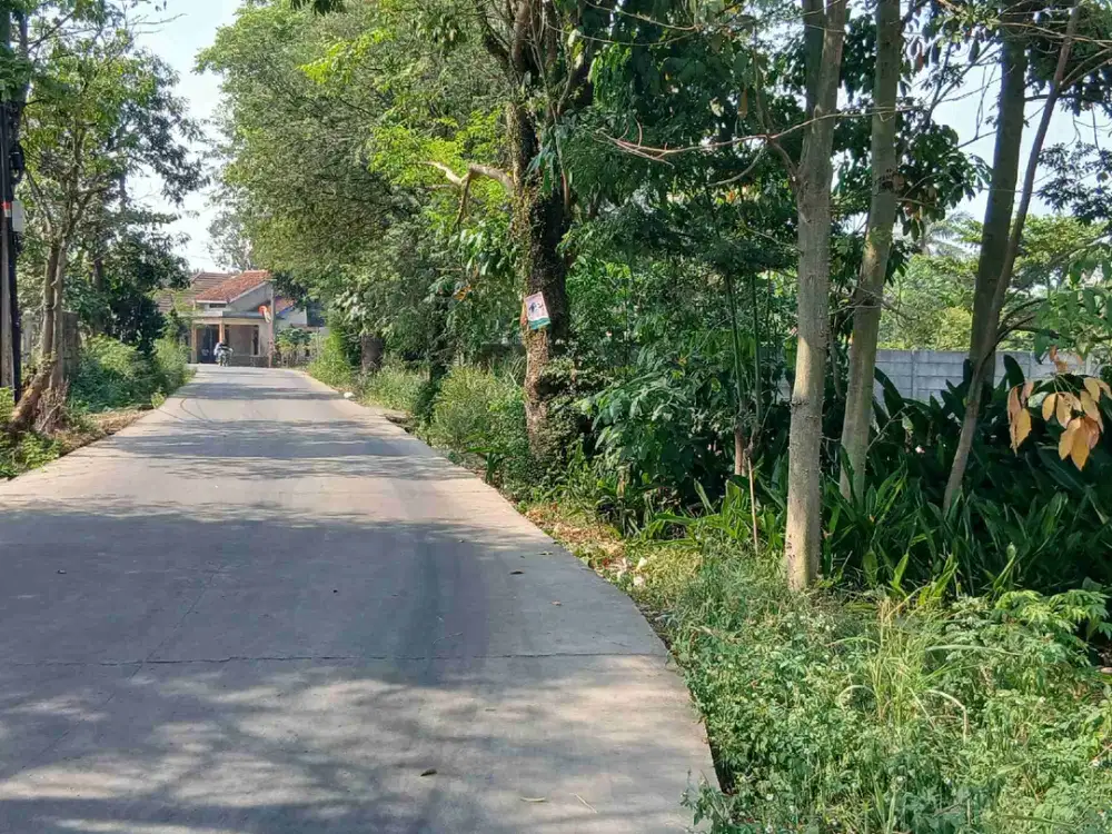 Tanah Dijual Luas 1700m² Di bogor