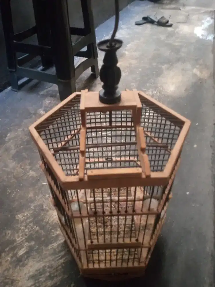 kandang kayu burcil