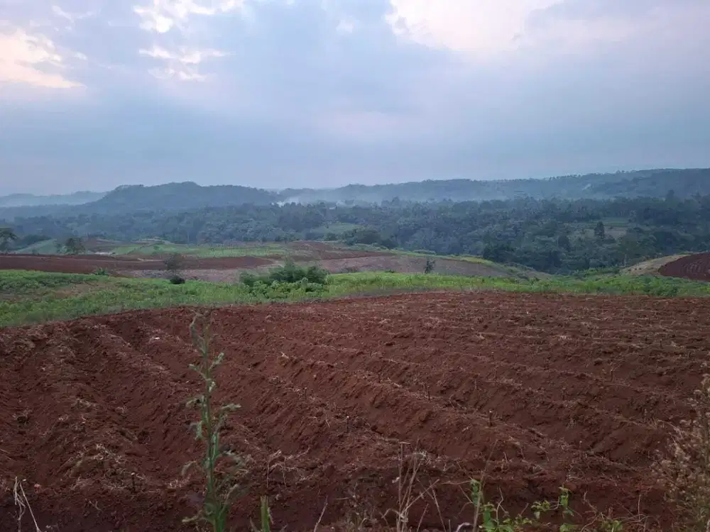 Tanah di Desa Sukamaju, Kecamatan Cikembar, Sukabumi