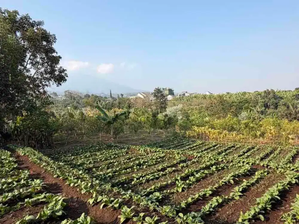 tanah villa dan kebun murah di bumiaji kota batu