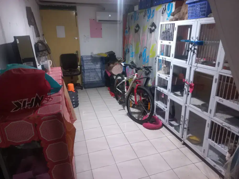 LOWONGAN ART PERGI PULANG SETENGAH HARI TIDAK MENGINAP