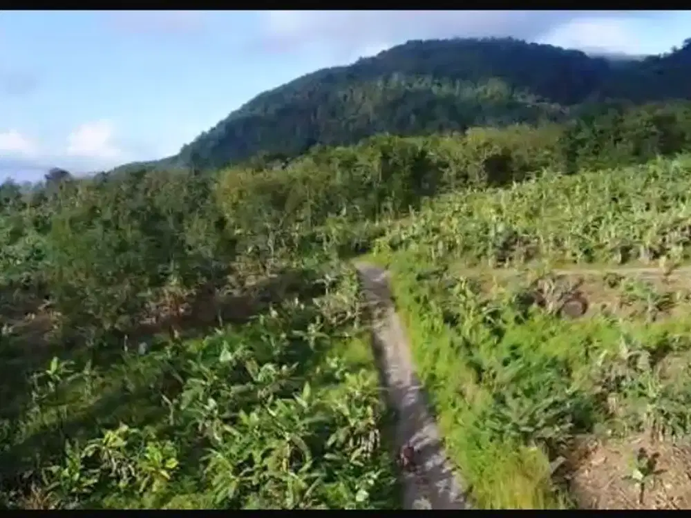 Dijual cepat perkebunan dan tambang di Desa Cikadu,Pelabuhan ratu
