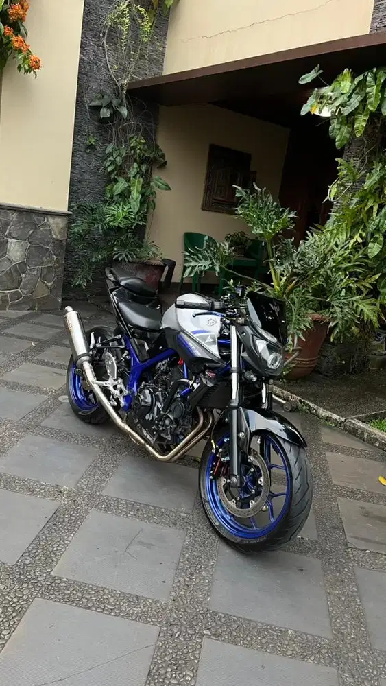 Yamaha MT 25 2016