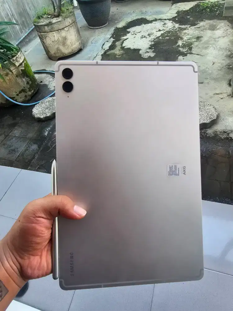 Samsung tan s9 fe plus