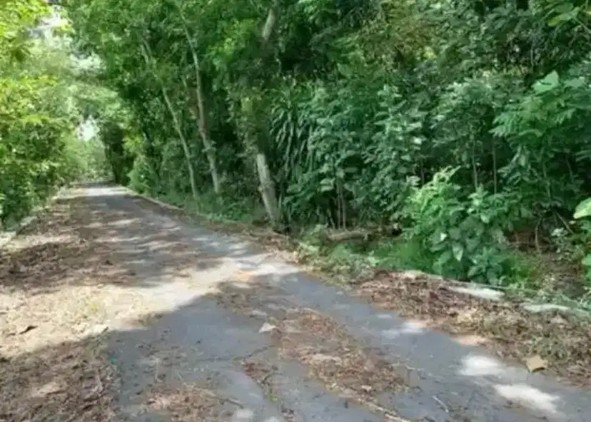 Tanah Pekarangan Hadap Jalan Lebar Dengan Muka 29m