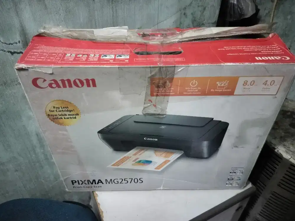 Printer Canon PIXMA MG2570s