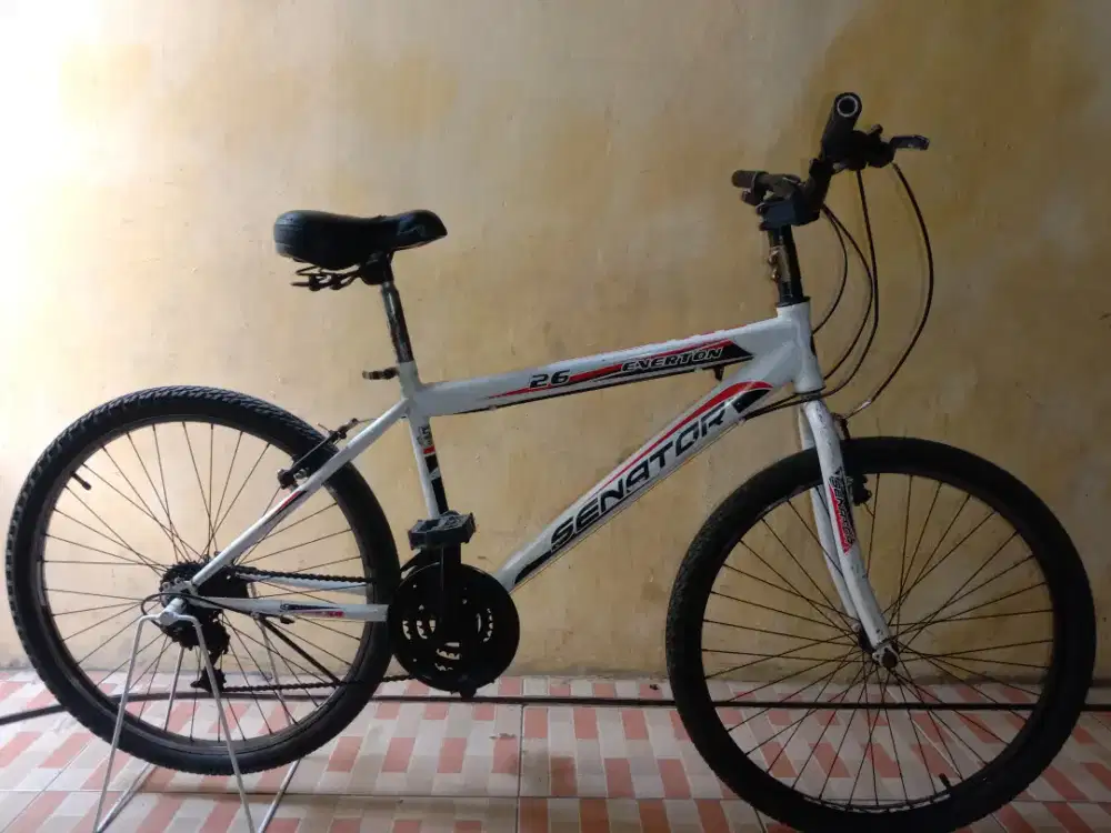 Sepeda MTB putih