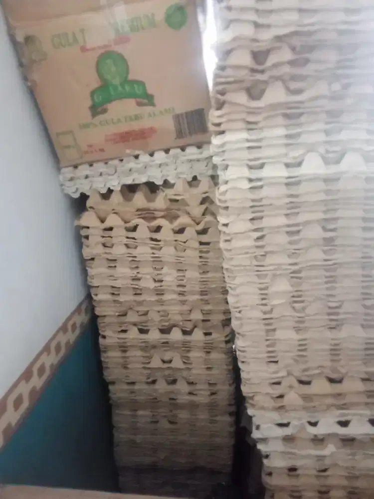 Tray Telur tempat ternak jangkrik