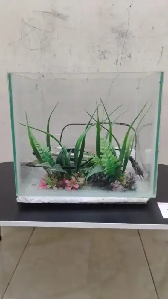 Di jual aquarium ukuran 30x25