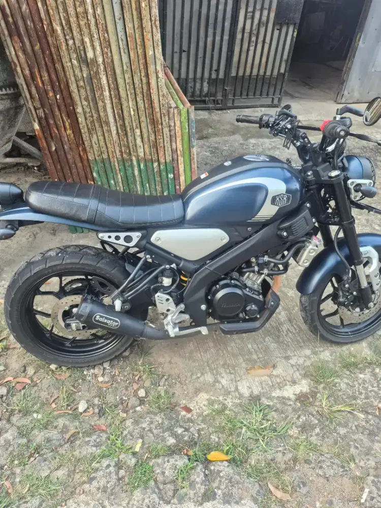 Yamaha xsr 155 (2022)