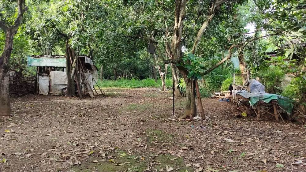 JUAL TANAH PEKARANGAN, HARGA SPESIAL, BUTUH CEPAT