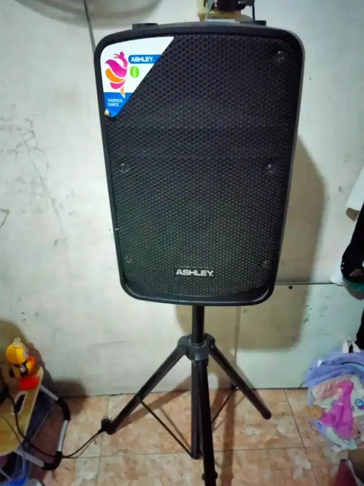 Speaker portable Ashley ir500