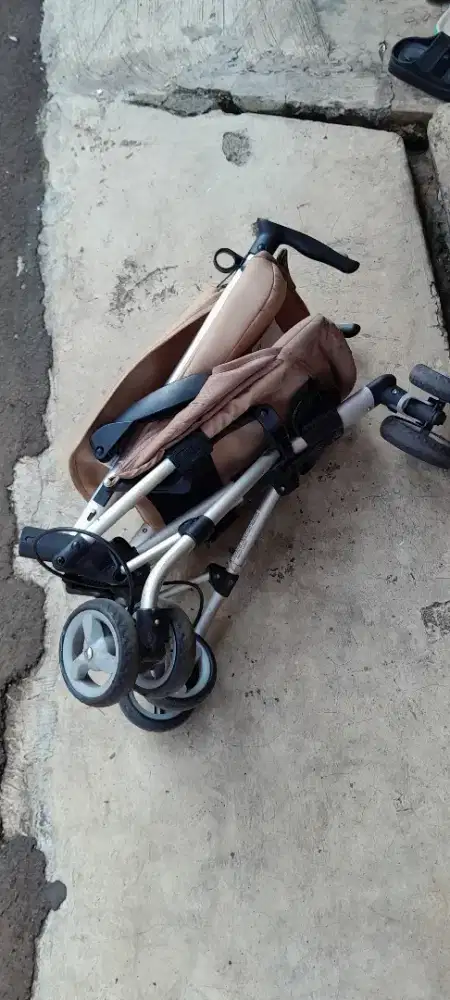 Jual stoler bayi i sport chocolate