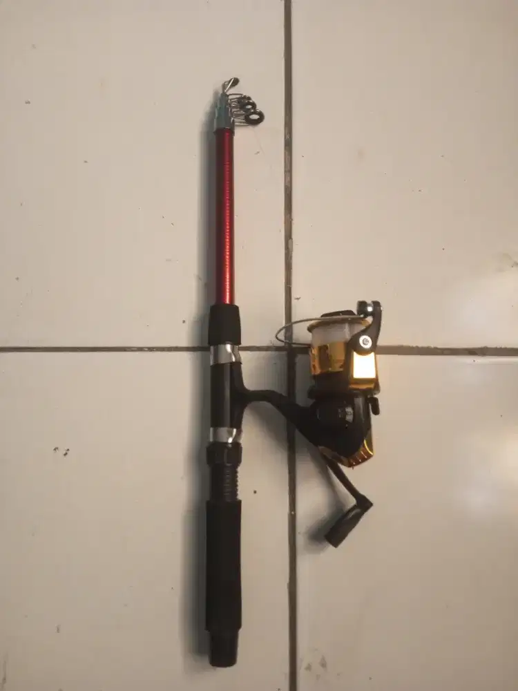 Pancing Audrey Panjang 1,5m