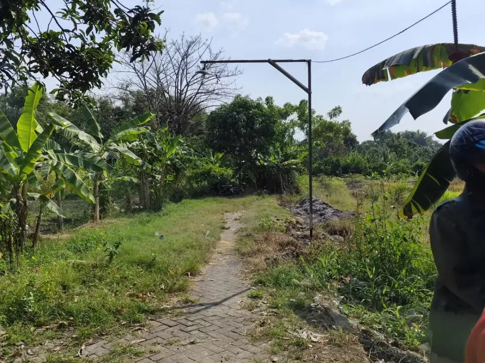 Dijual Kavlingan Desa Gadung , Kab Gresik