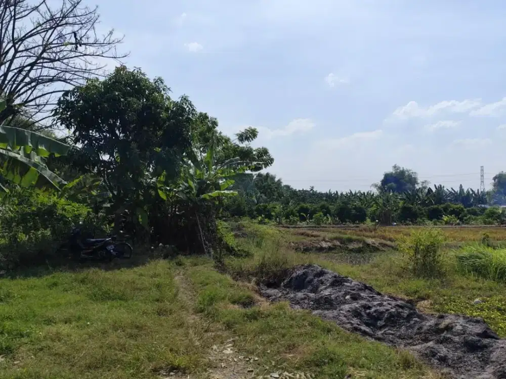 Dijual Kavlingan Bangkingan Gresik