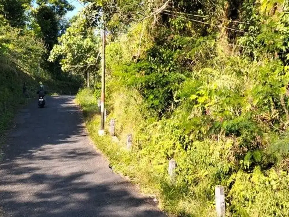 Tanah Pekarangan Lokasi Premium di Kawasan Wisata Gunung Merapi - Pakem Sleman