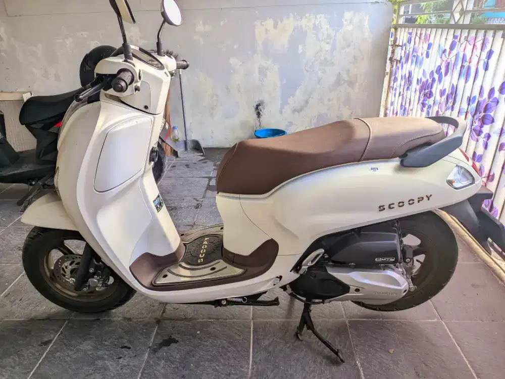 Honda scoopy 2026