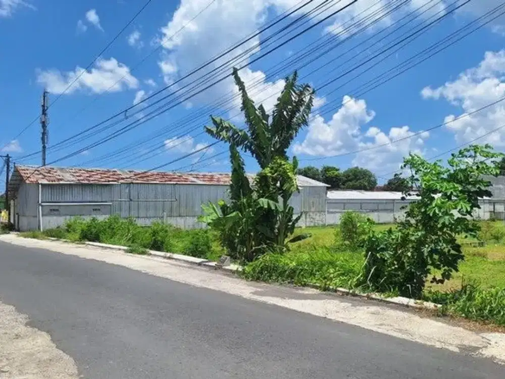 Tanah Sawah Lokasi Strategis Dekat Kampus UMY - Gamping Sleman