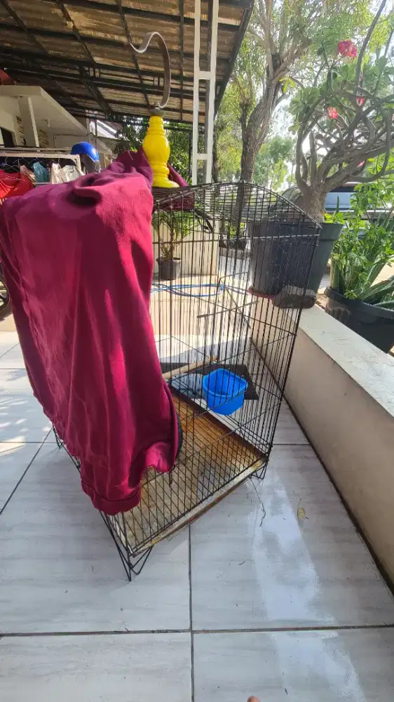 Kandang burung besi