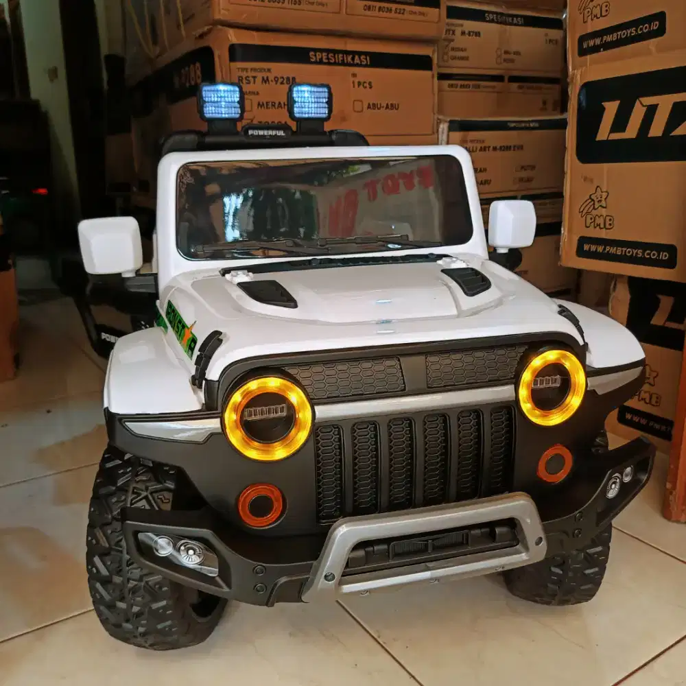 Mobil Aki Remote Anak Ban Karet